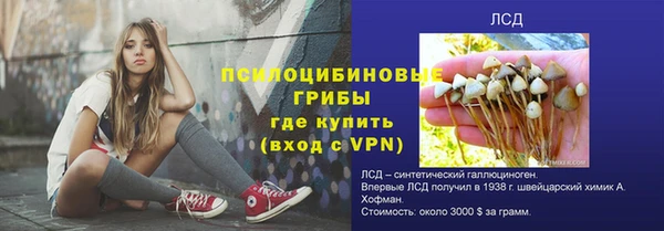 гашик Аркадак