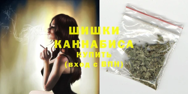 гашик Аркадак