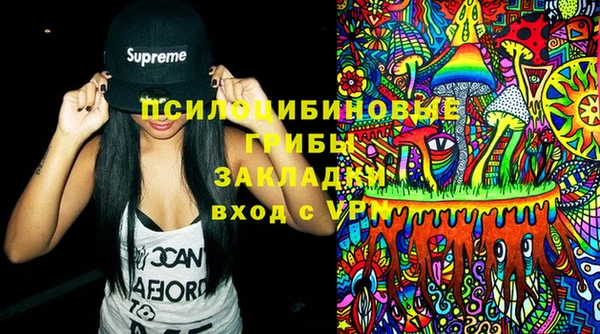 гашик Аркадак