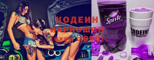 гашик Аркадак