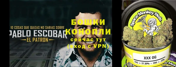 гашик Аркадак