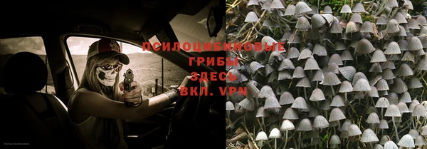 прущая мука Арсеньев