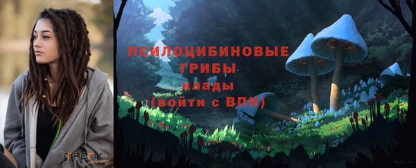 прущая мука Арсеньев